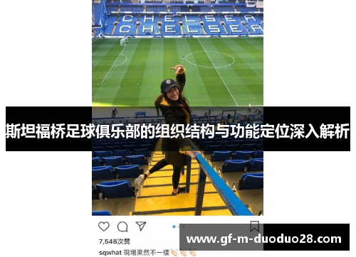 斯坦福桥足球俱乐部的组织结构与功能定位深入解析