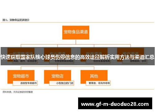 快速获取国家队核心球员伤停信息的高效途径解析实用方法与渠道汇总 快速获取国家队核心球员伤停信息的高效途径解析实用方法与渠道汇总