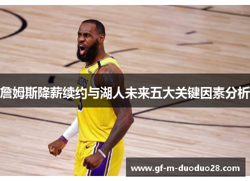 詹姆斯降薪续约与湖人未来五大关键因素分析 詹姆斯降薪续约与湖人未来五大关键因素分析